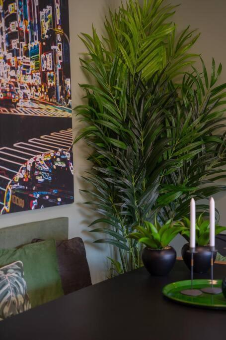 Super Anadia - Olive Apartment Funchal  Luaran gambar