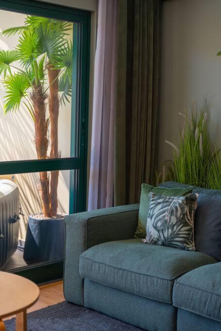 Super Anadia - Olive Apartment Funchal  Luaran gambar